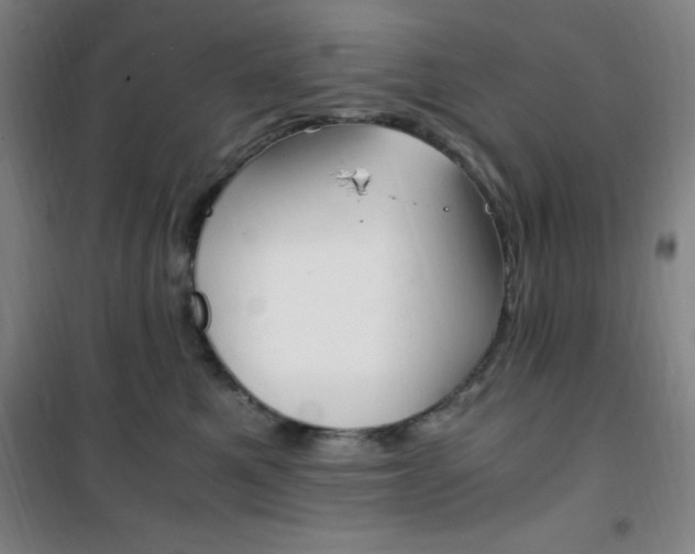 X0000101710521200807101411