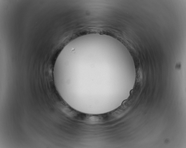 X0000101710522200807101411