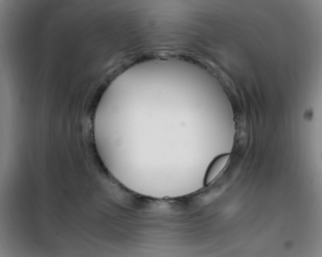 X0000101710523200807101411