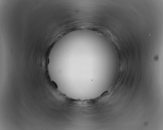 X0000101710524200807101411