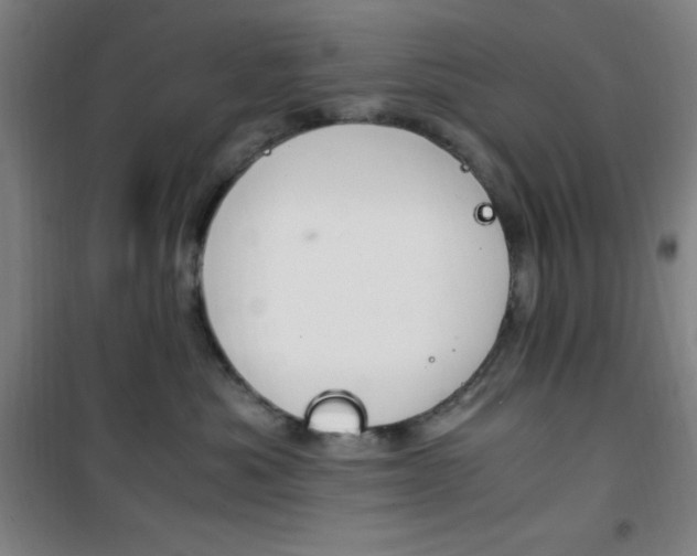 X0000101710525200807101411