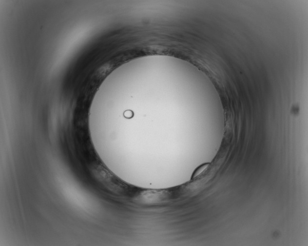 X0000101710526200807101411