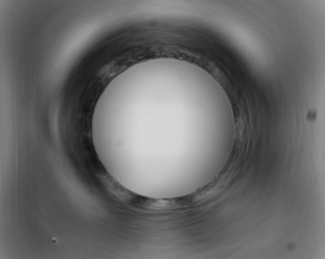 X0000101710527200807101411