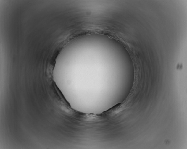 X0000101710528200807101411