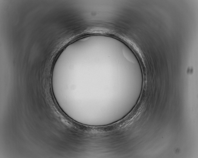 X0000101710529200807101410