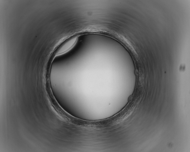 X0000101710530200807101410