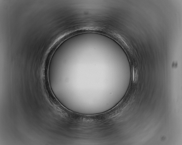 X0000101710531200807101410