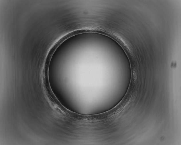 X0000101710532200807101411
