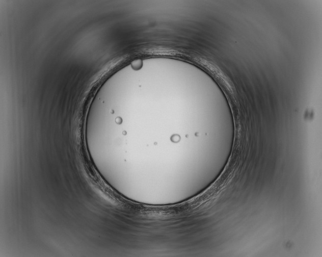 X0000101710533200807101411