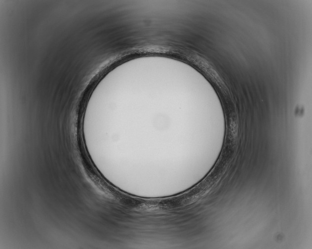 X0000101710534200807101411