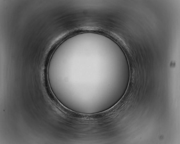 X0000101710535200807101411