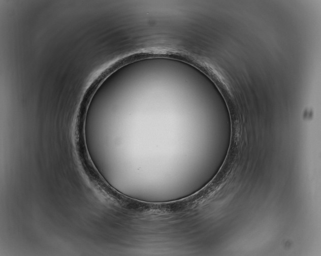 X0000101710536200807101411