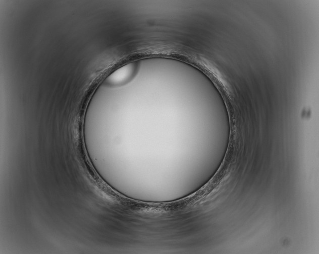 X0000101710537200807101411