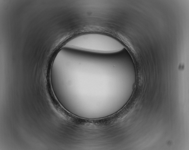 X0000101710538200807101411