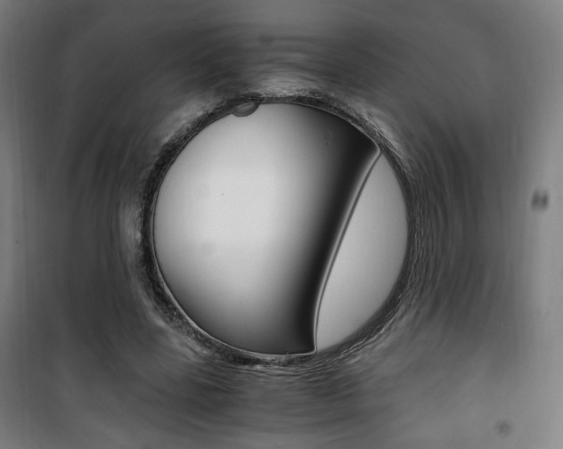 X0000101710539200807101411