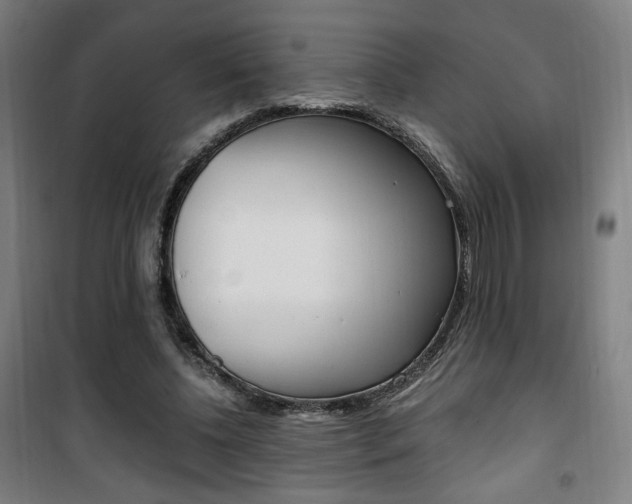 X0000101710540200807101411
