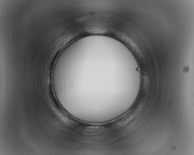 X0000101710541200807101411