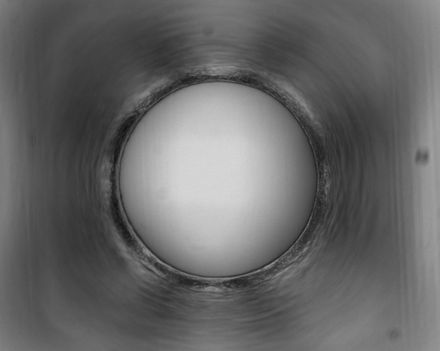 X0000101710542200807101411