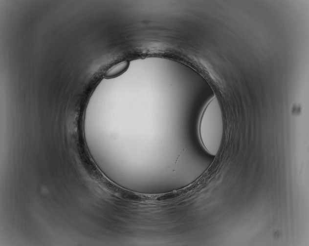 X0000101710543200807101411