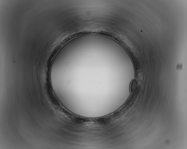 X0000101710544200807101411
