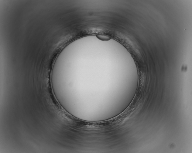 X0000101710545200807101411