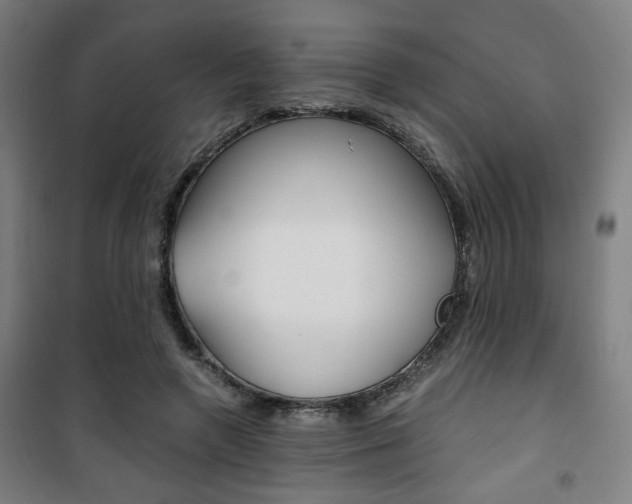 X0000101710546200807101411