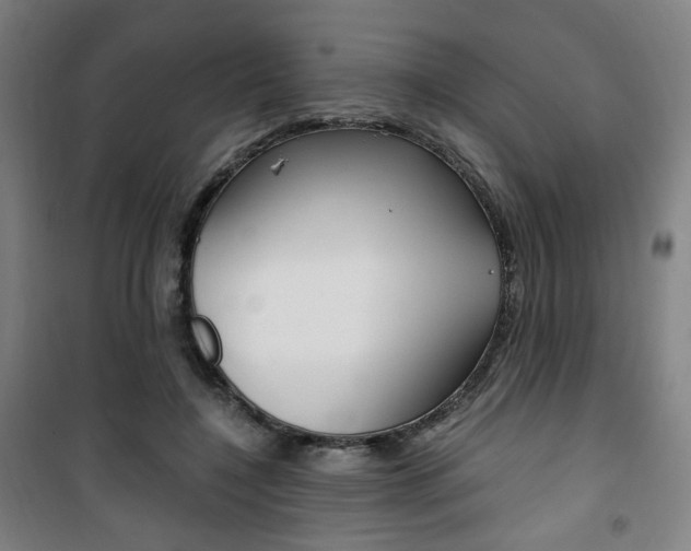 X0000101710548200807101411