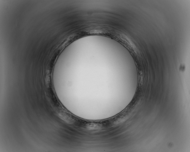 X0000101710549200807101411