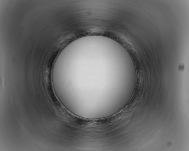 X0000101710550200807101411