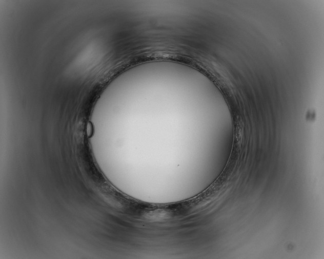 X0000101710551200807101411