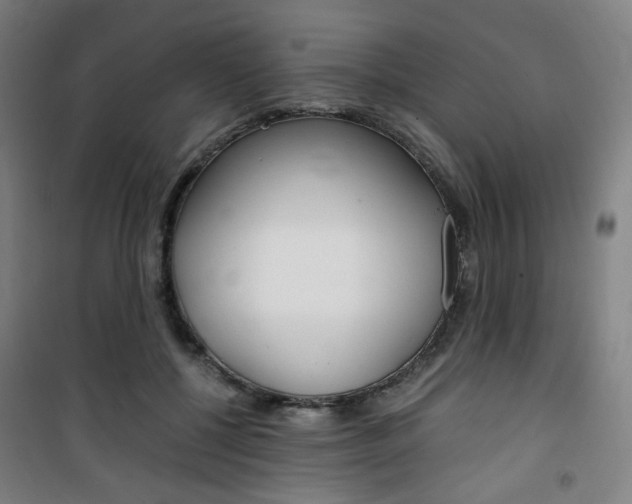 X0000101710552200807101411