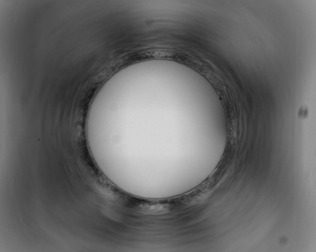 X0000101710553200807101411