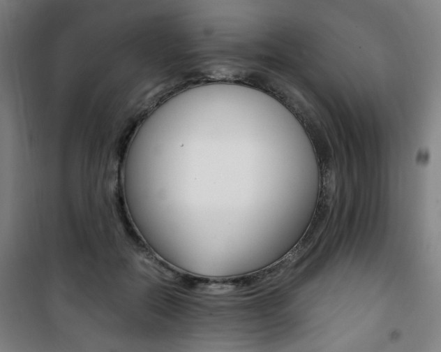 X0000101710554200807101411