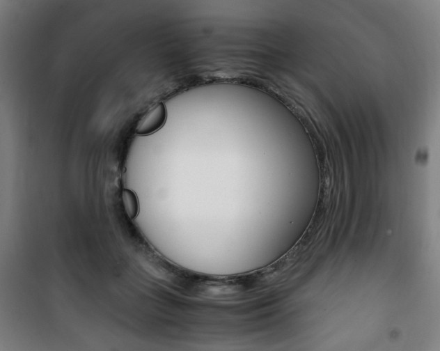 X0000101710555200807101411