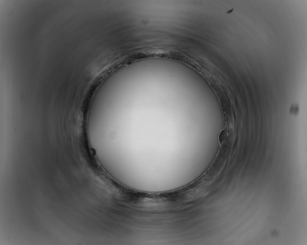 X0000101710556200807101411