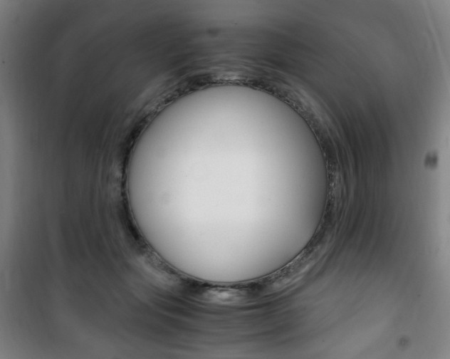 X0000101710557200807101411