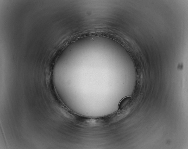 X0000101710558200807101411
