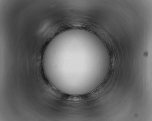 X0000101710559200807101411