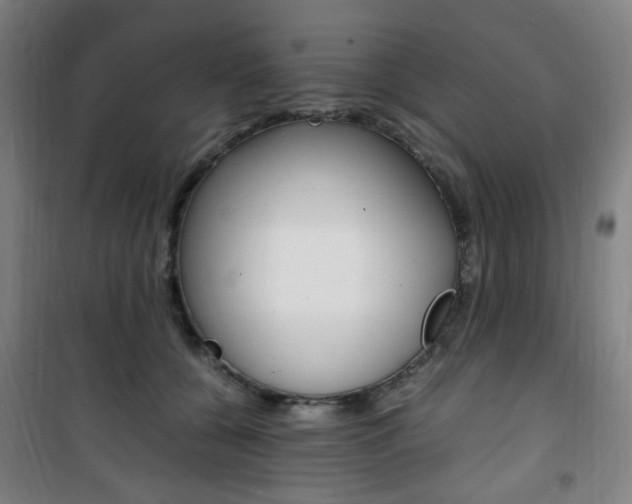 X0000101710560200807101411
