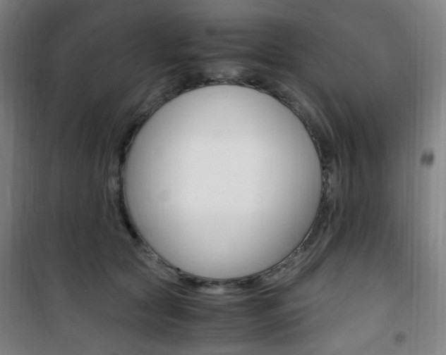 X0000101710561200807101411