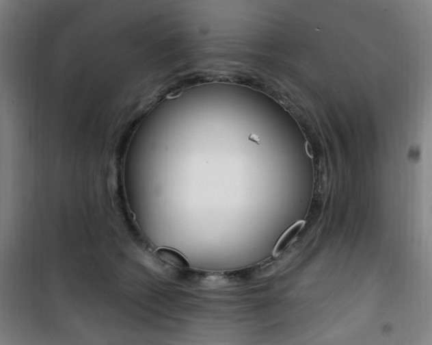 X0000101710562200807101411