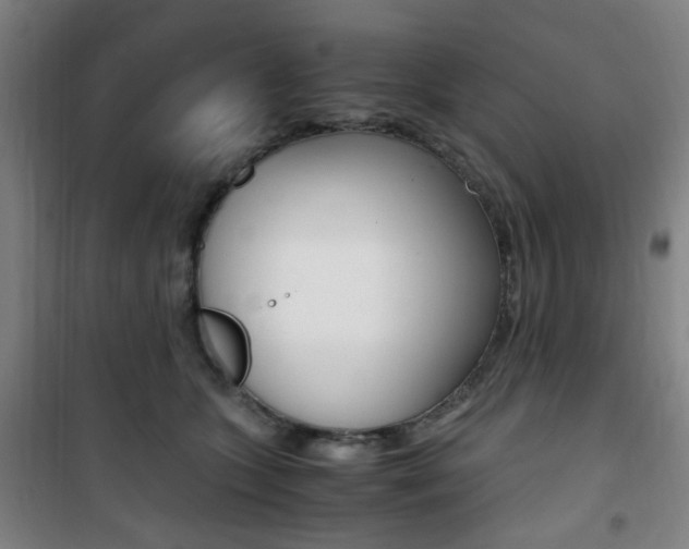 X0000101710563200807101411