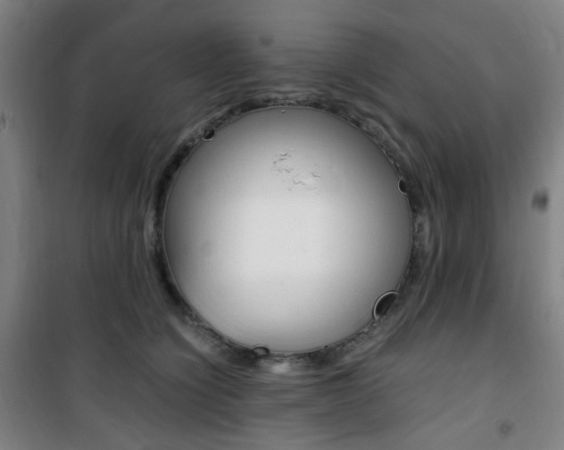 X0000101710564200807101411