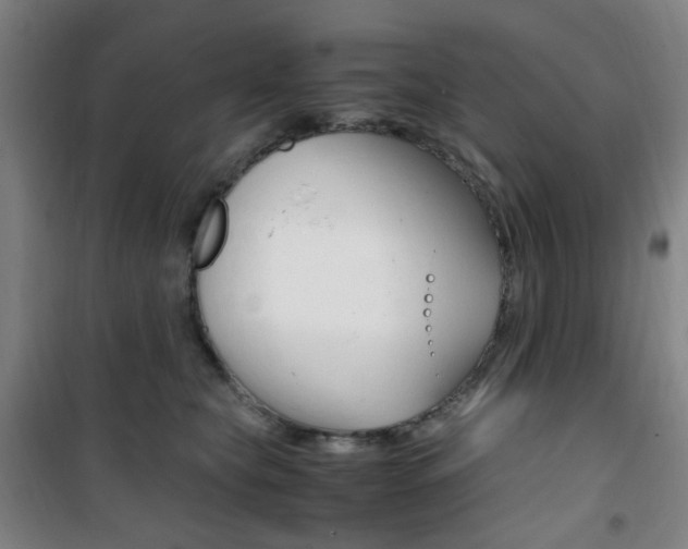 X0000101710565200807101411