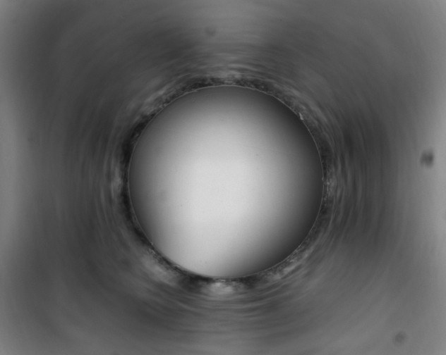 X0000101710566200807101411
