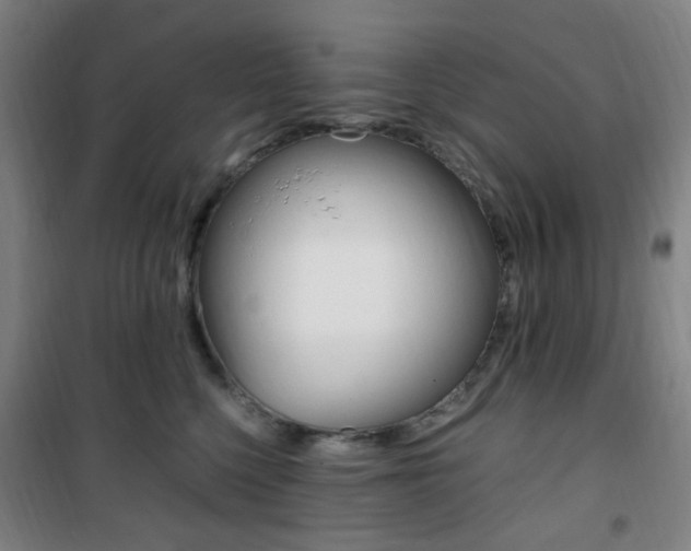 X0000101710568200807101411