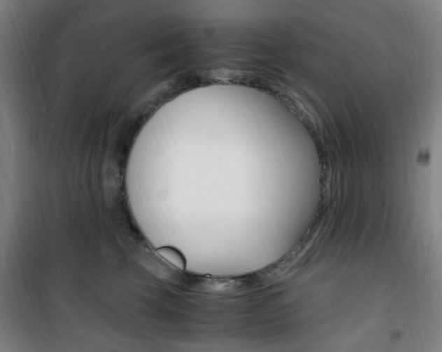 X0000101710569200807101411