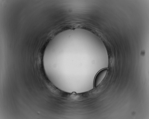 X0000101710570200807101411