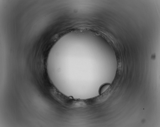 X0000101710572200807101411