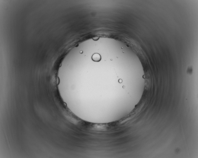 X0000101710573200807101411